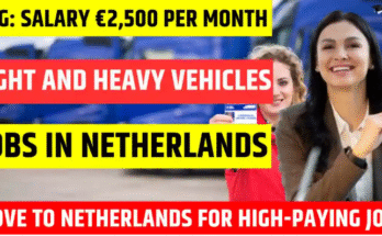 Driver Job in Netherlands 2025-26